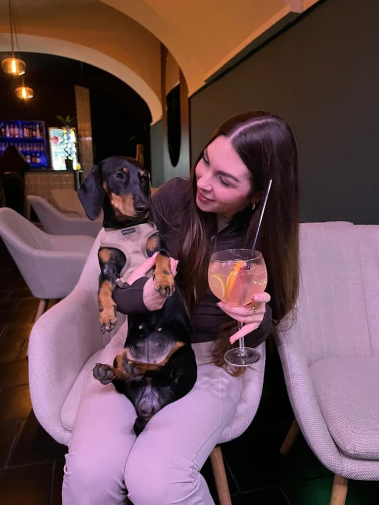 Pes v dog friendly baru DrIng v Plzni